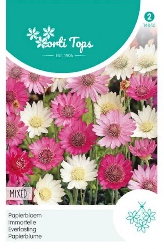 Xeranthemum annuum Immortelle zmes cca. 1 g